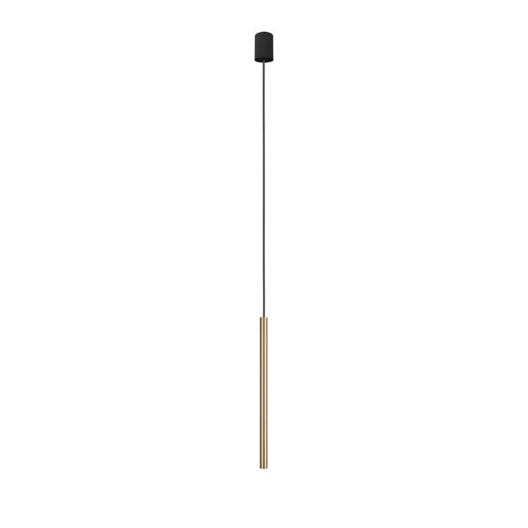 8798-2.jpg