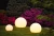 6977-3.webp