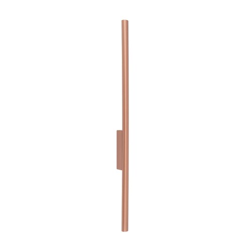 11815.jpg