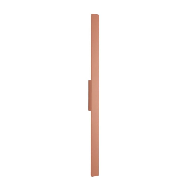 11557.jpg